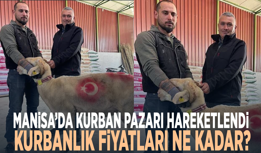 Manisa’da kurban pazarı hareketlendi.. Kurbanlık fiyatları ne kadar?