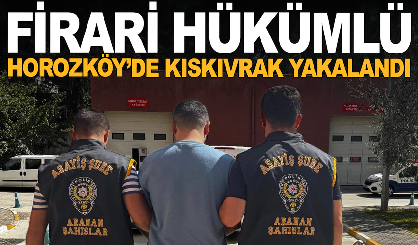 8 Yıl Hapis Cezalı Firari Manisa’da Yakalandı