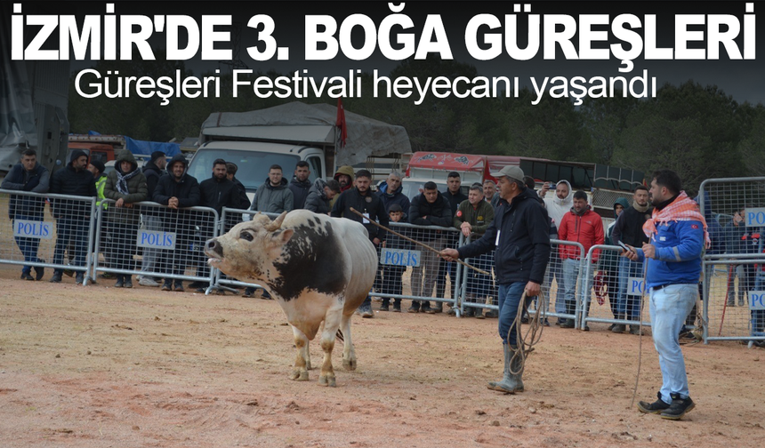 İzmir'de 3. Boğa Güreşleri Festivali heyecanı yaşandı