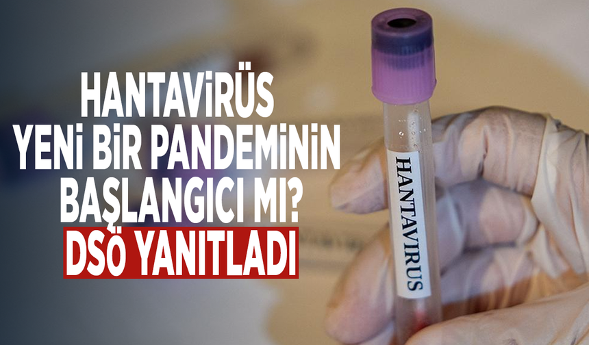 Hantavirüs yeni bir pandeminin başlangıcı mı? DSÖ yanıtladı