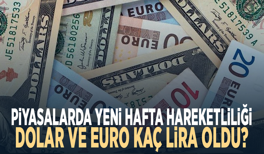 Piyasalarda yeni hafta hareketliliği: Dolar ve euro kaç lira oldu?