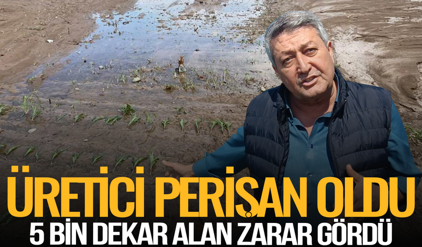 Saruhanlı'da Yağışlar Afete Dönüştü: 5 Bin Dekar Alan Zarar Gördü