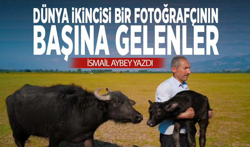 Dünya İkincisi Bir Fotoğrafçının Başına Gelenler