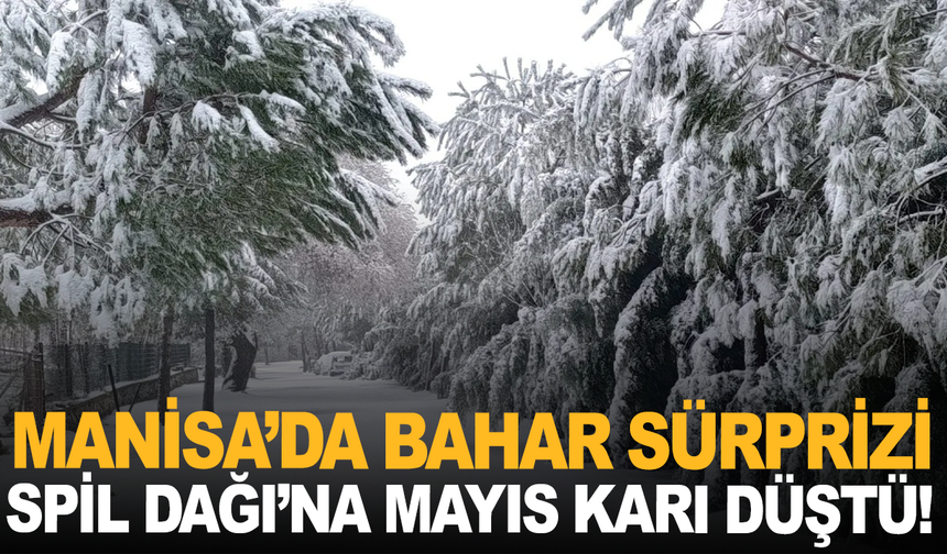 Manisa’da Bahar Sürprizi: Spil Dağı’na Mayıs Karı Düştü!