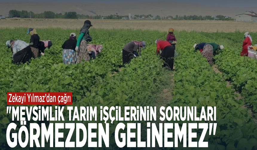 Zekayi Yılmaz’dan çağrı: "Mevsimlik tarım işçilerinin sorunları görmezden gelinemez"