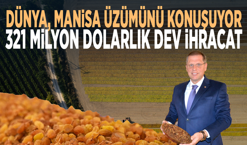 Dünya, Manisa üzümünü konuşuyor... 321 milyon dolarlık dev ihracat