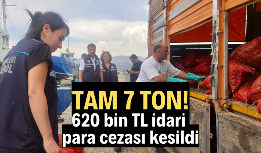 7 ton kaçak midye ele geçirildi