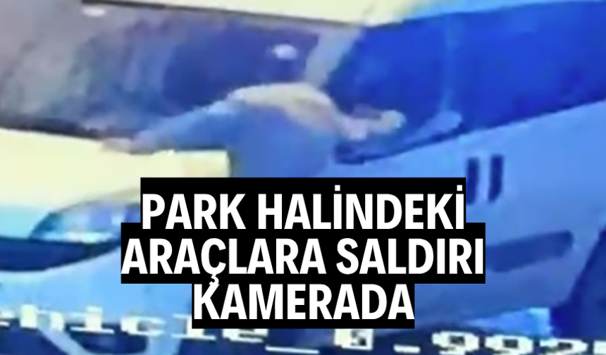 Park halindeki araçlara saldırı kamerada