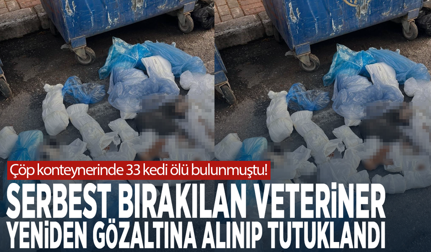 Çöp konteynerinde 33 kedi ölü bulunmuştu! Serbest bırakılan veteriner yeniden gözaltına alınıp tutuklandı
