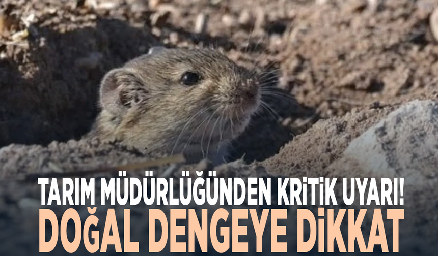 Tarım Müdürlüğünden kritik uyarı! Doğal dengeye dikkat