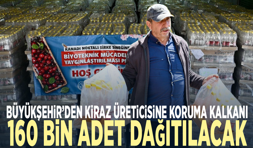 Büyükşehir’den kiraz üreticisine koruma kalkanı... 160 bin adet dağıtılacak