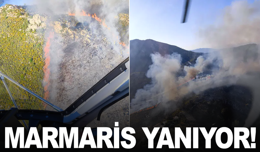 Marmaris'te orman yangını! Bölgeye çok sayıda ekip sevk edildi