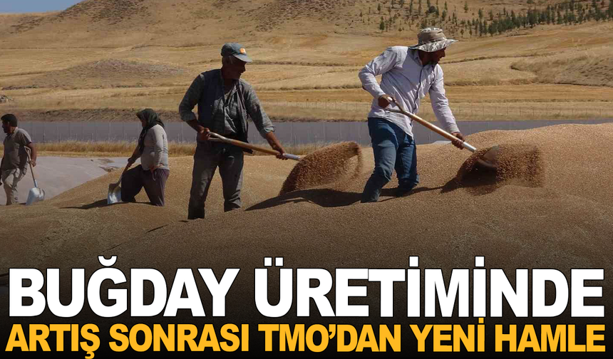 Manisa'nın o ilçesine TMO Buğday Alım Ofisi Açıyor