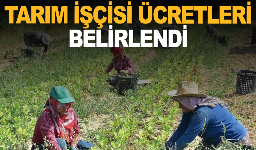 Tarım İşçisi Ücretleri Belirlendi