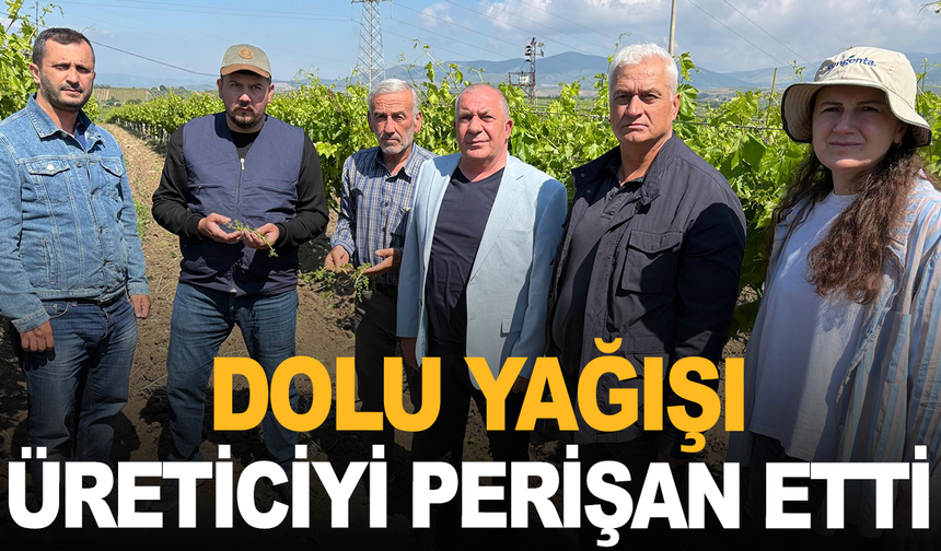 Manisa'da Dolu Felaketi Bağları ve Karpuz Tarlalarını Vurdu