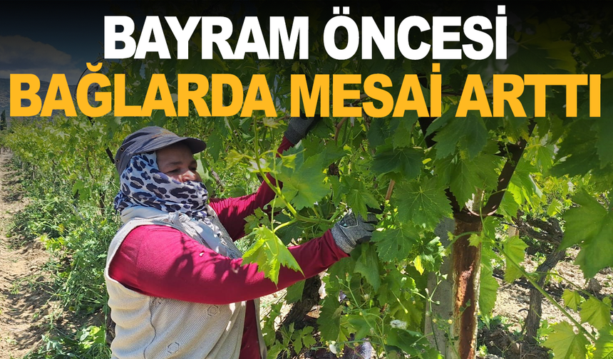 Bayram öncesi bağlarda mesai arttı