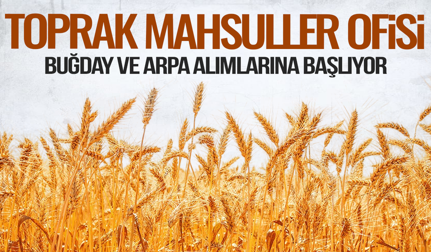 Toprak Mahsulleri Ofisi buğday ve arpa alımlarına başlıyor: Tarih verildi