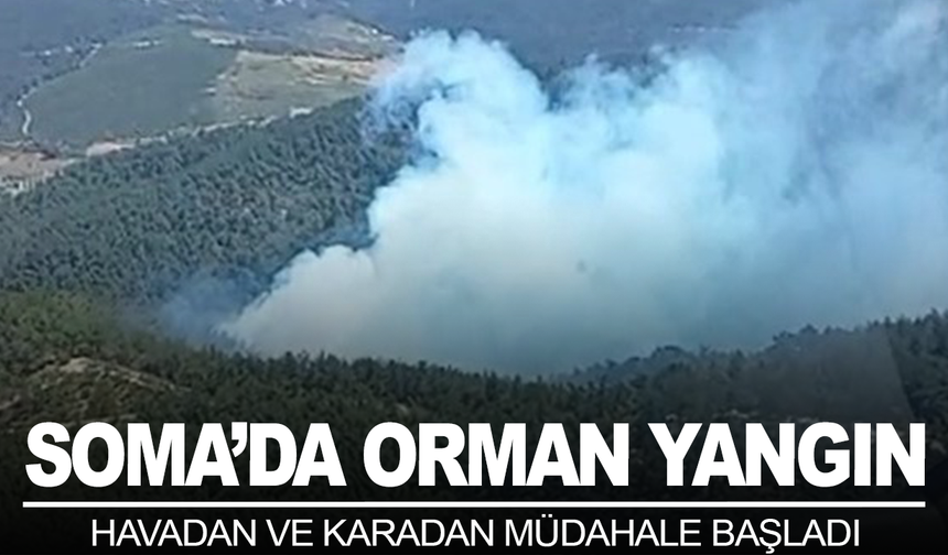 Soma'daki orman yangınına havadan ve karadan müdahale başladı