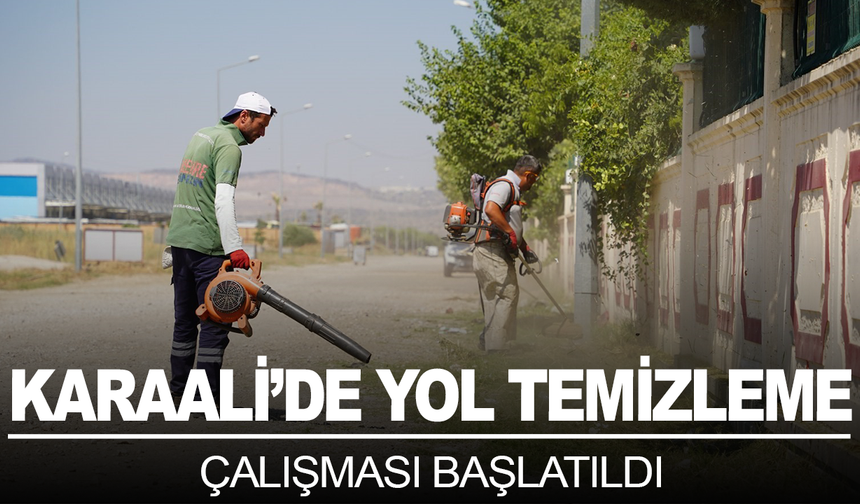 Karaali’de yol kenarları temizlendi