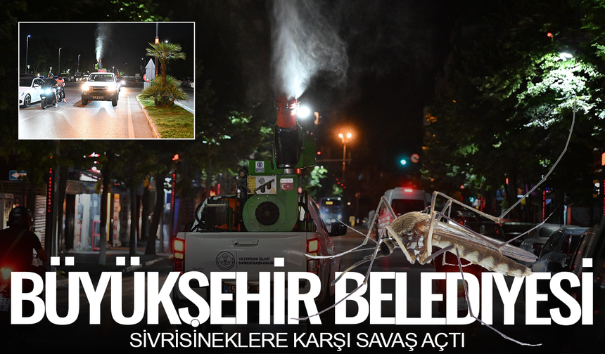 Sivrisineklere karşı eş zamanlı ilaçlama