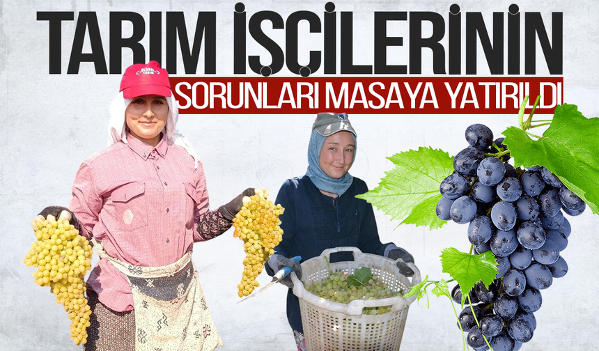 Manisa'da mevsimlik işçilerin sorunları gündemde