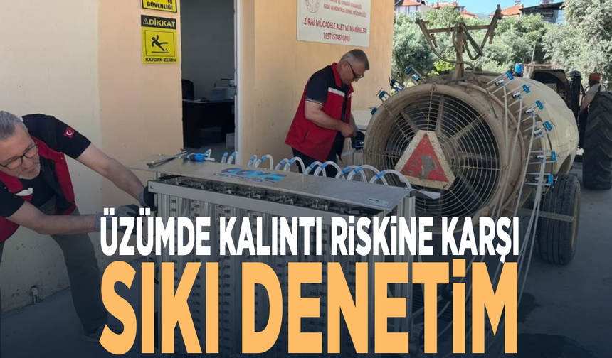 Üzümde kalıntı riskine karşı sıkı denetim
