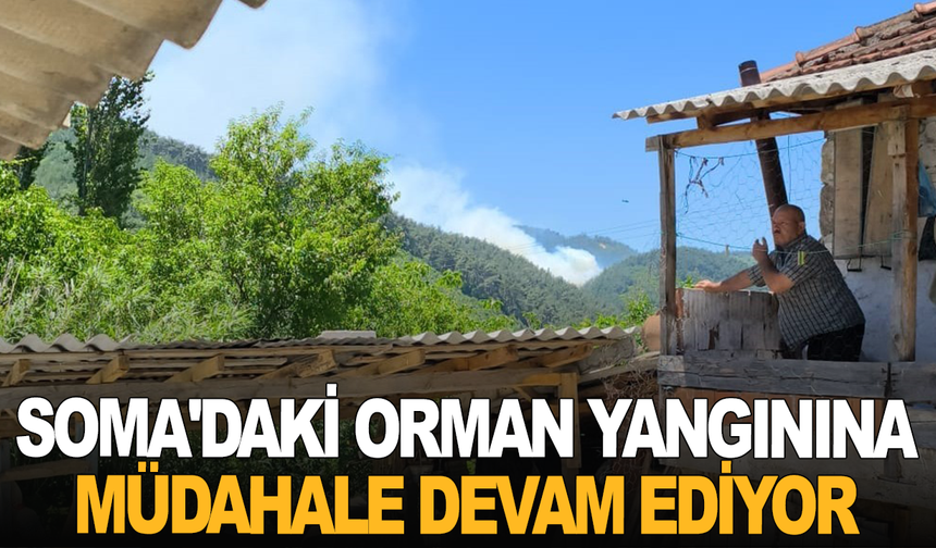 Soma'daki orman yangınına müdahale devam ediyor