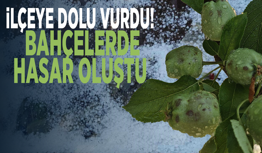 İlçeye dolu vurdu! Bahçelerde hasar oluştu
