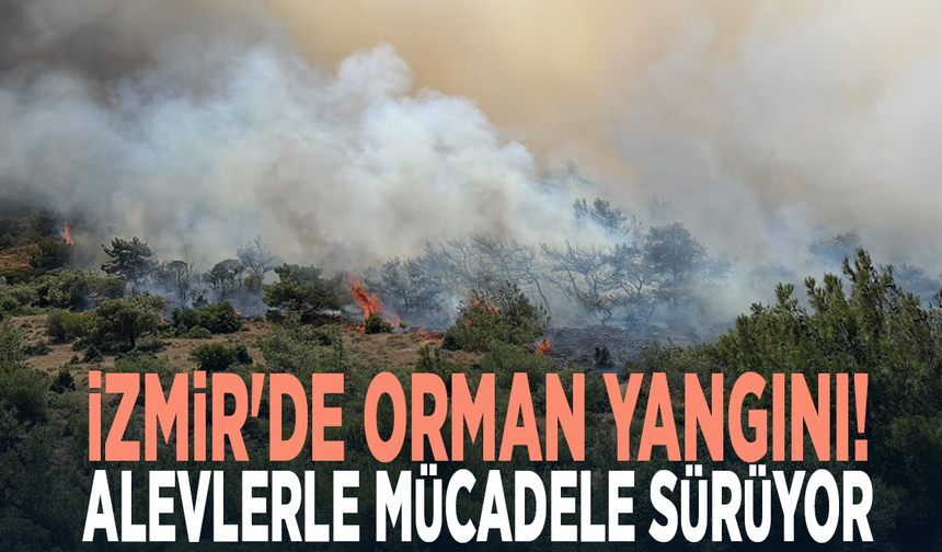 İzmir'de orman yangını!  Alevlerle mücadele sürüyor
