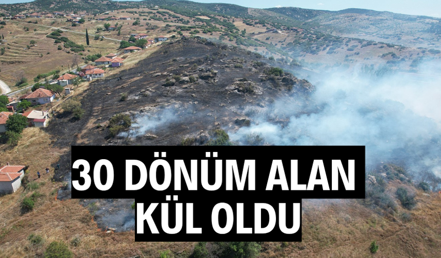 30 dönüm alan kül oldu