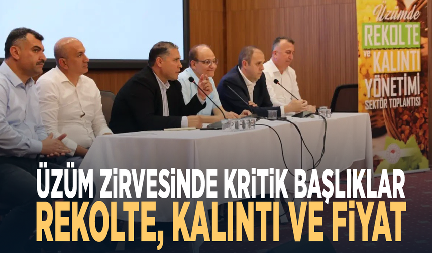 Üzüm zirvesinde kritik başlıklar: Rekolte, kalıntı ve fiyat