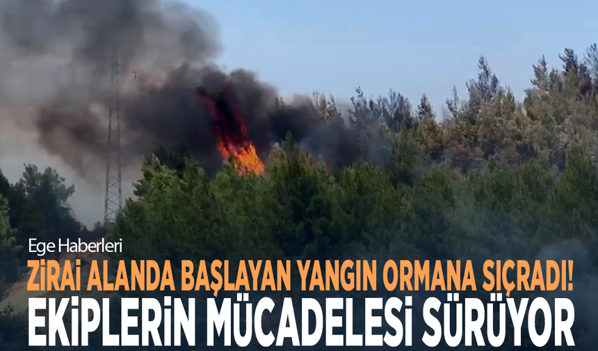 Zirai alanda başlayan yangın ormana sıçradı! Ekiplerin mücadelesi sürüyor