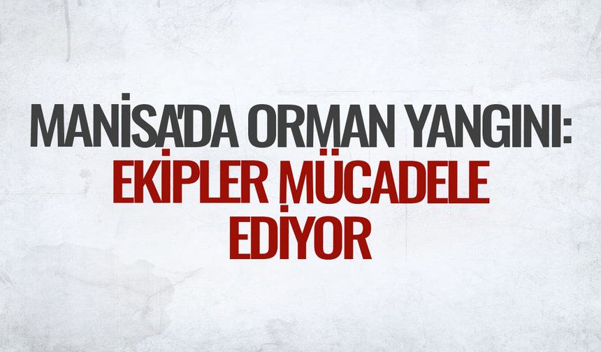 Manisa'da orman yangını: Ekipler mücadele ediyor
