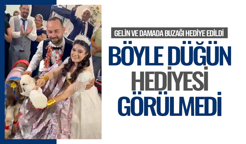 Takı merasiminde altın yerine dişi buzağı hediye edildi