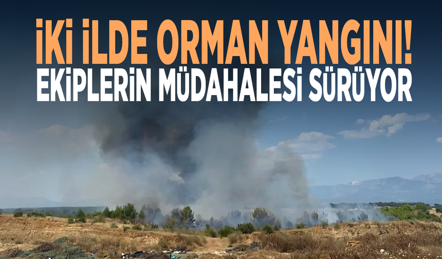 İki ilde orman yangını! Ekiplerin müdahalesi sürüyor