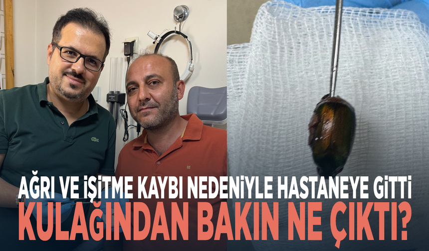 Ağrı ve işitme kaybı nedeniyle hastaneye gitti... Kulağından bakın ne çıktı?