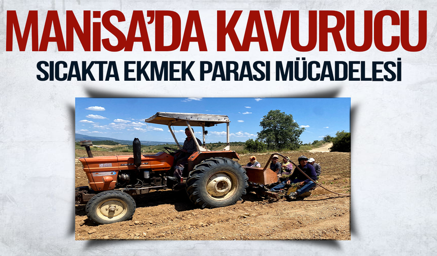 Manisa'da kavurucu sıcakta ekmek mücadelesi veriyorlar