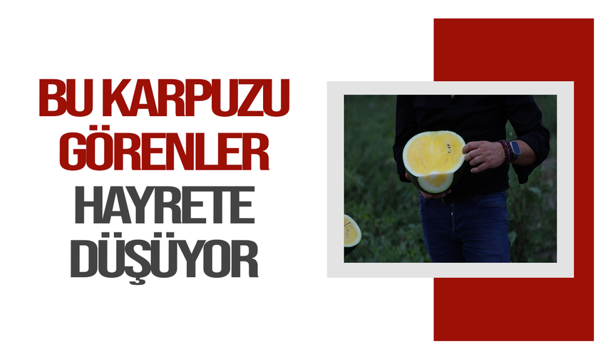 Bu karpuzu görenler hayrete düşüyor: kabuğu yeşil, içi sarı
