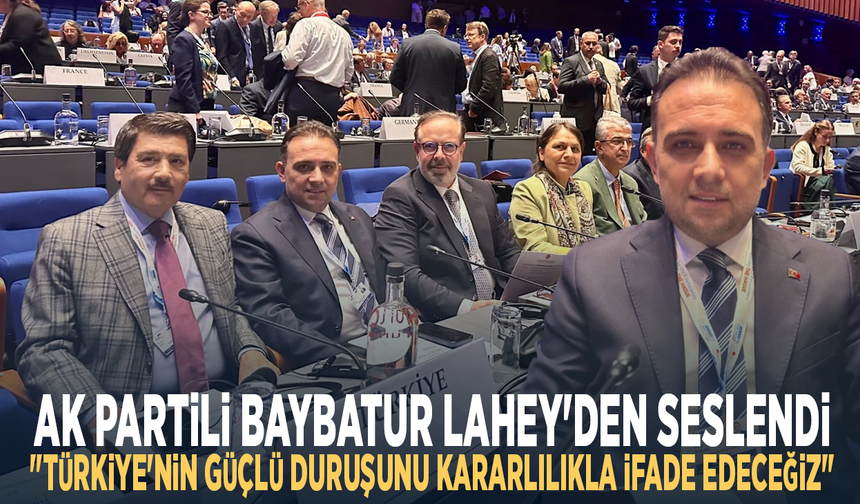 AK Partili Baybatur Lahey'den Seslendi: "Türkiye'nin Güçlü Duruşunu Kararlılıkla İfade Edeceğiz"