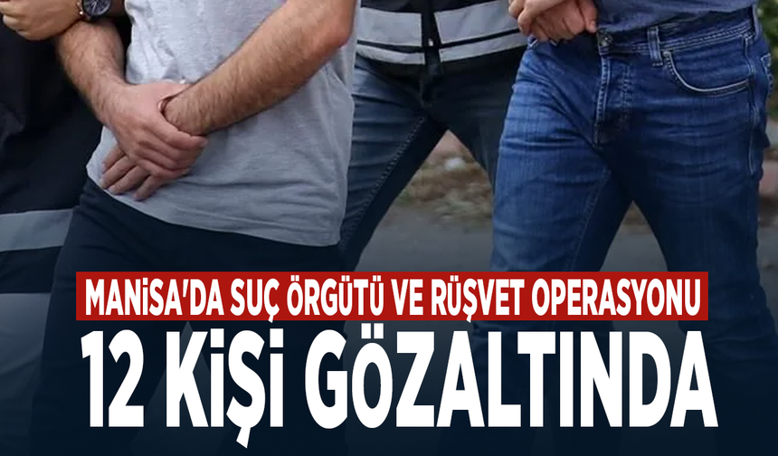 Manisa'da suç örgütü ve rüşvet operasyonu... 12 kişi gözaltında