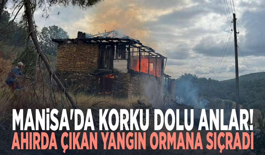 Manisa'da korku dolu anlar! Ahırda çıkan yangın ormana sıçradı