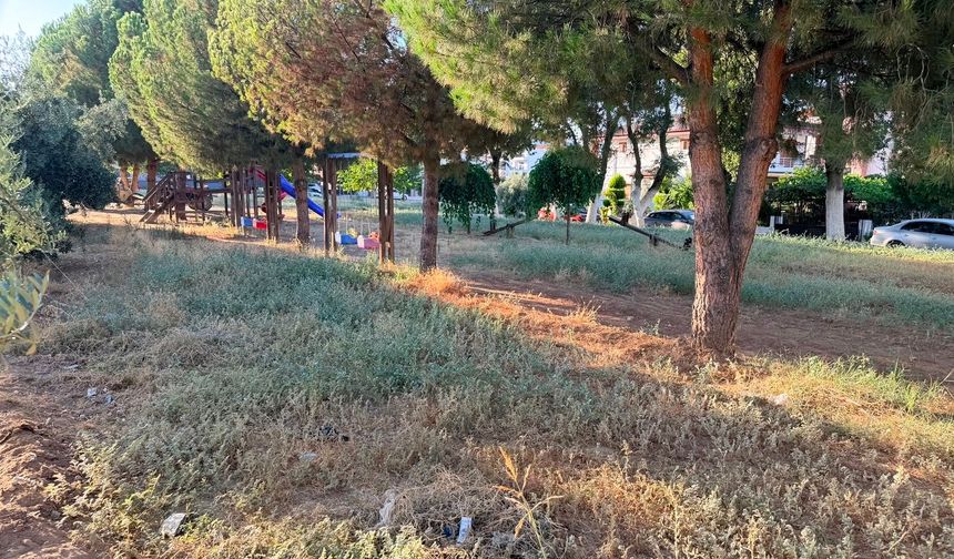 Sarıgöl'ün yeşil dönüşümü başladı