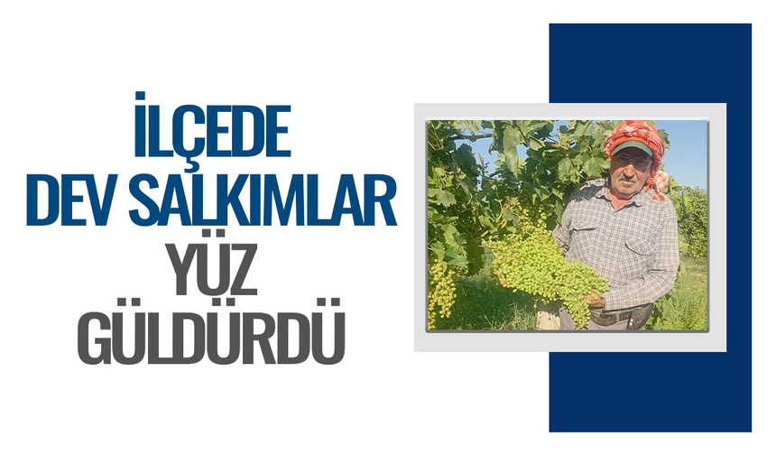 İlçede bereket yılı! 40 santimetrelik üzüm salkımları dikkat çekti