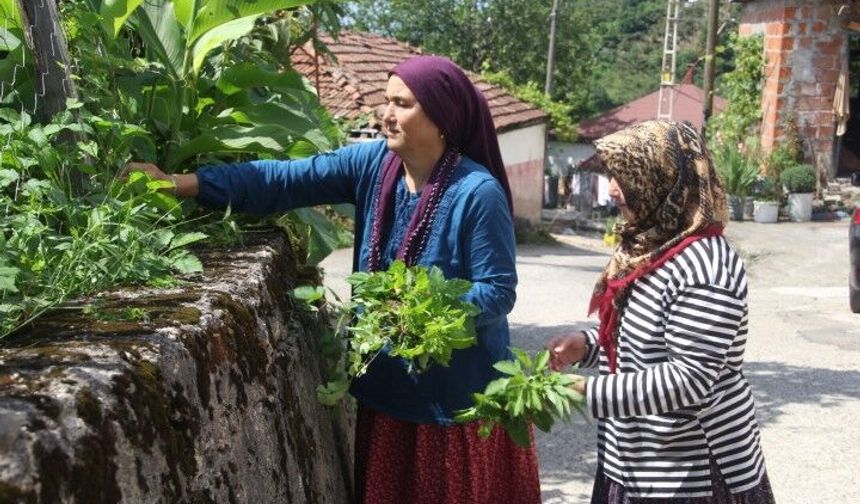 Bu mahallede herkesin soyadı aynı