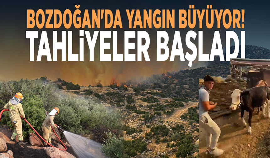 Bozdoğan'da yangın büyüyor! Tahliyeler başladı