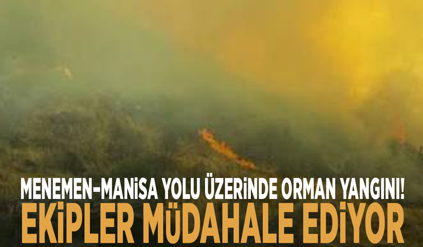 Menemen–Manisa yolu üzerinde orman yangını! Ekipler müdahale ediyor
