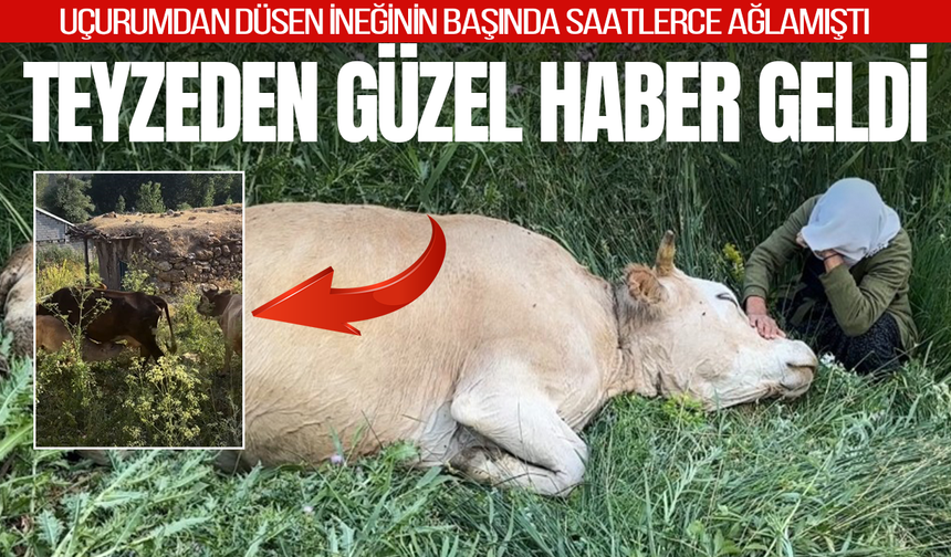 Uçurumdan düşen ineğinin başında gözyaşı dökmüştü: Teyzeye en anlamı hediye geldi