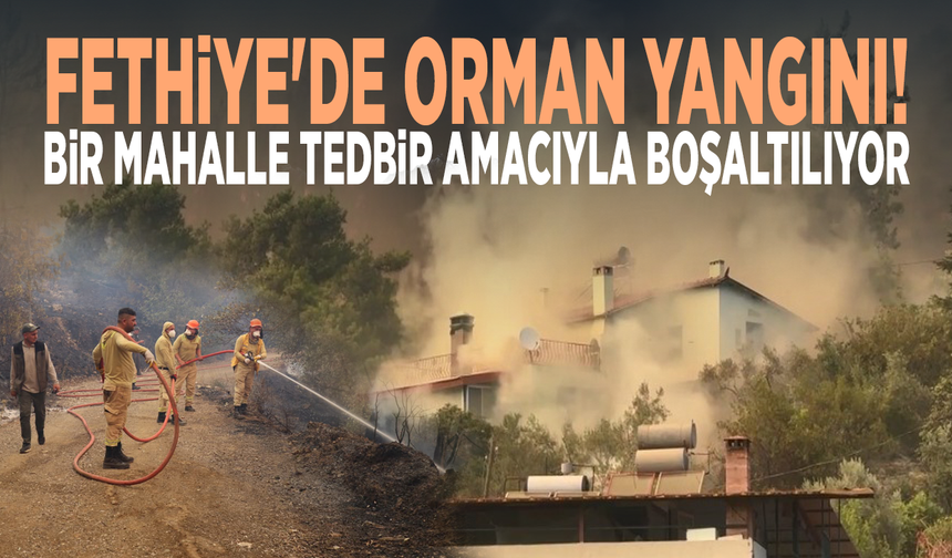 Fethiye'de orman yangını! Bir mahalle tedbir amacıyla boşaltılıyor