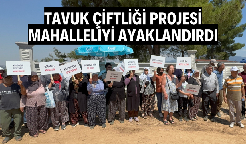 Tavuk çiftliği projesine mahalleliden tepki