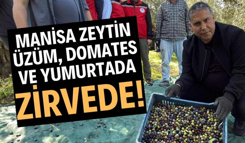 Manisa Zeytin, Üzüm, Domates ve Yumurtada Zirvede